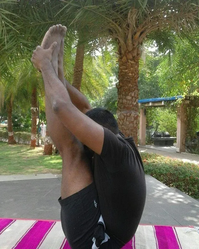 The Urban Yogis