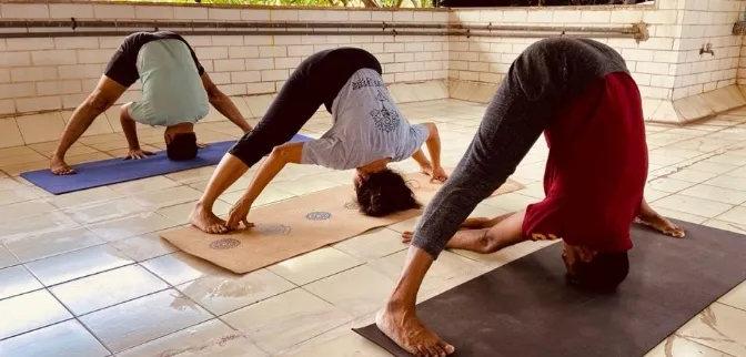 The Urban Yogis