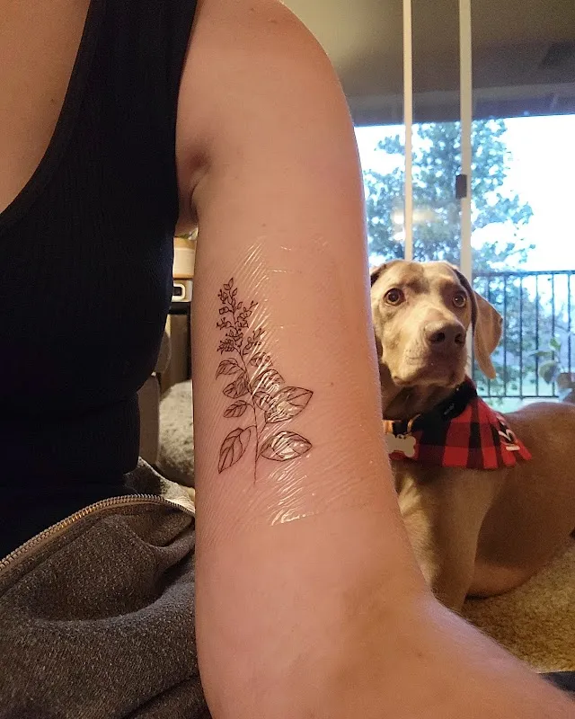 Studio Ink