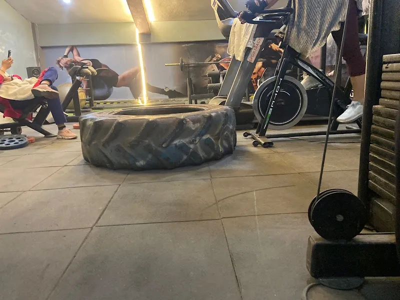 The Tiger Gym