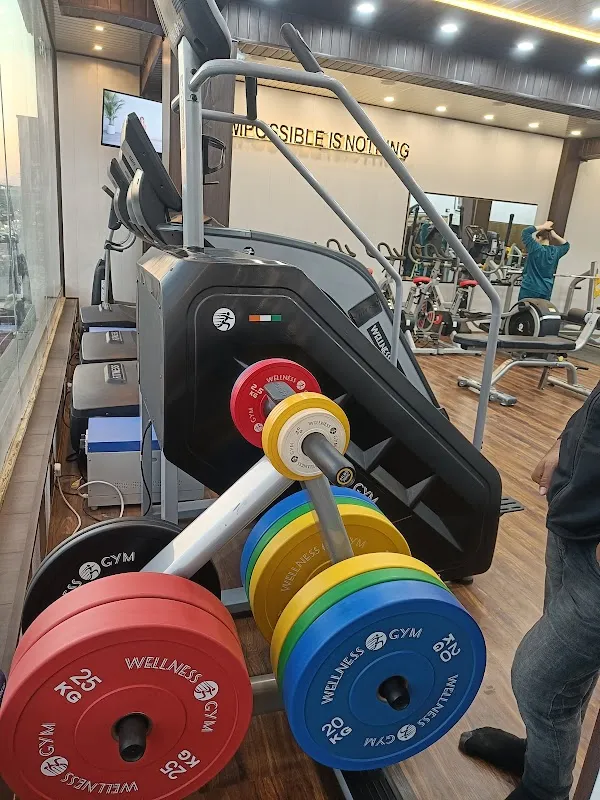 The Tiger Gym