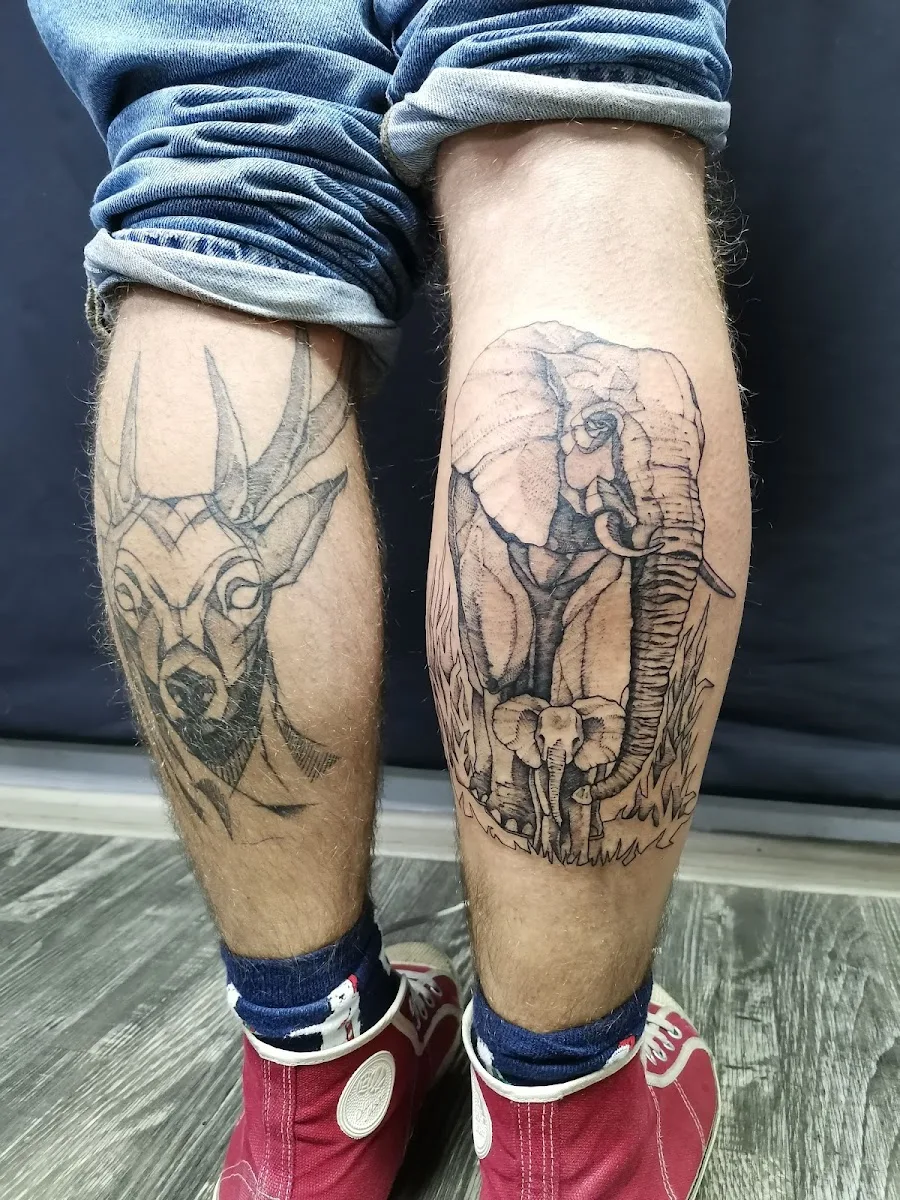 Mir Tatu
