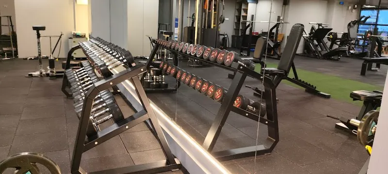 THE MASTER FITNESS CLUB