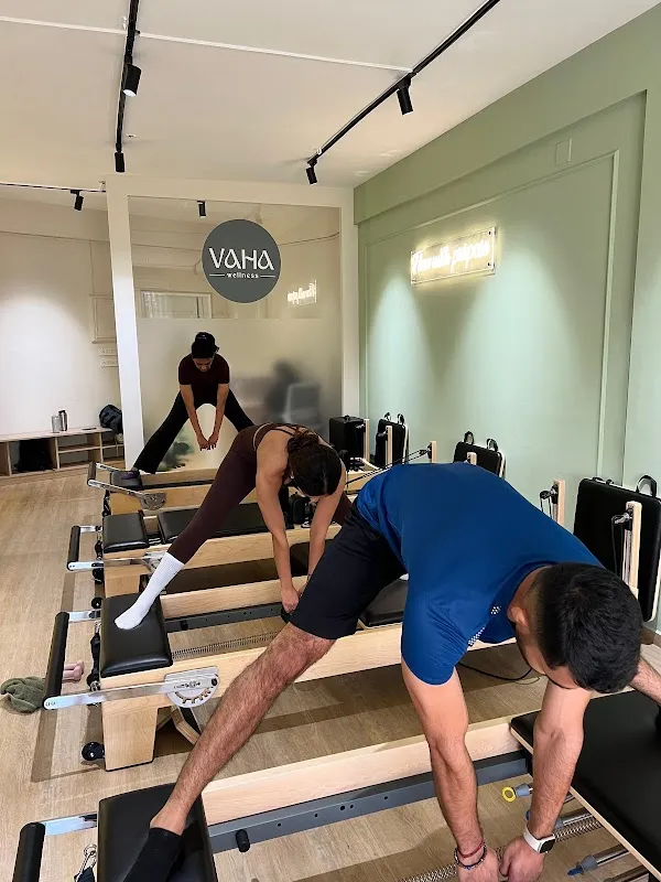 Vaha Wellness