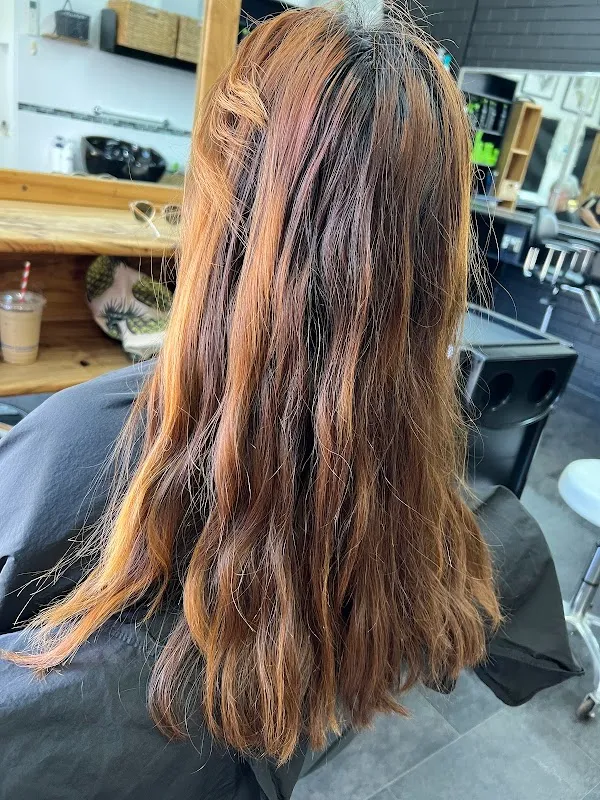 Mane Hair Studio