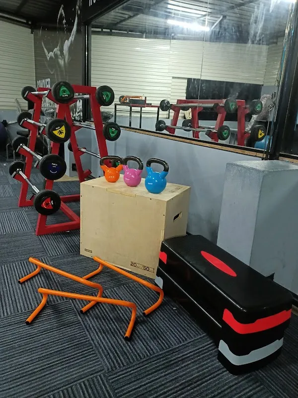 See Saw Fitness