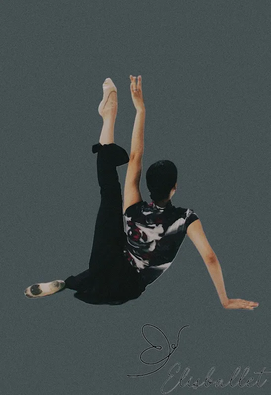 Elisballet LLC