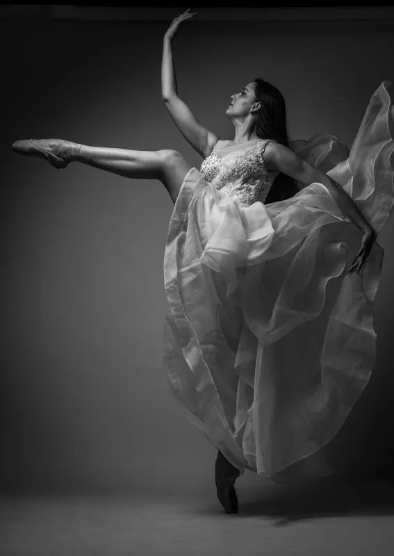 Elisballet LLC