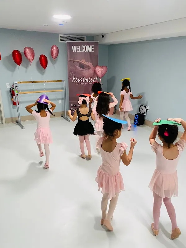 Elisballet LLC