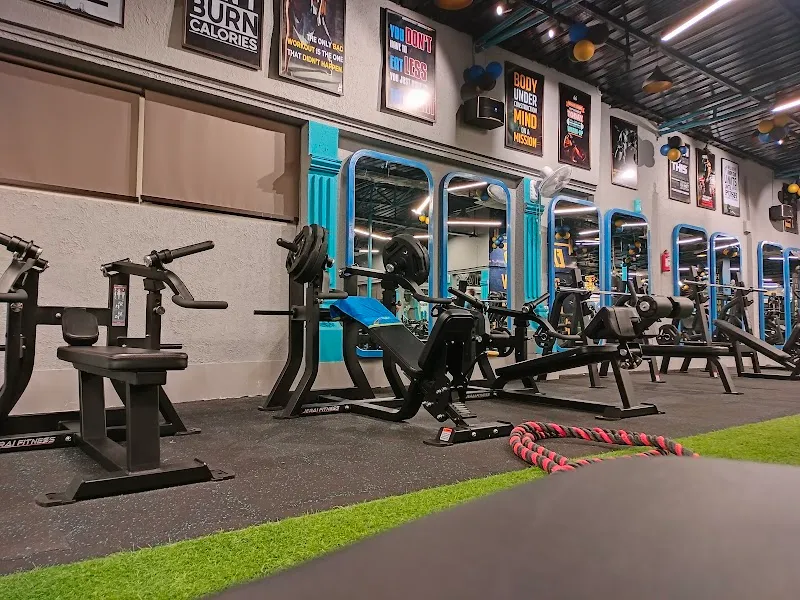 The Iron Fist Gym