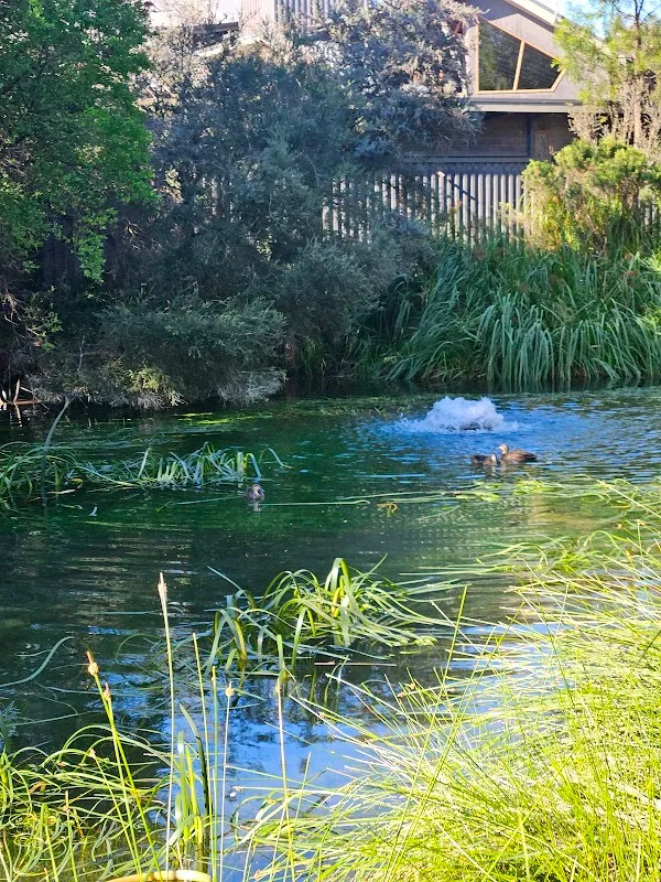 Peninsula Hot Springs