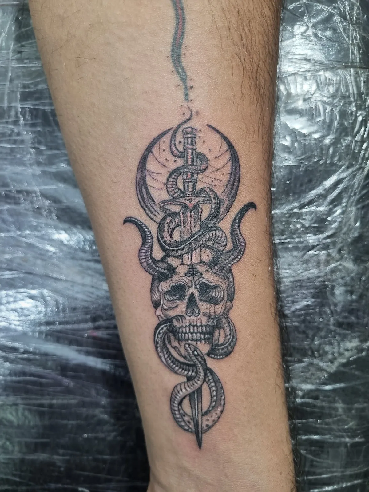 Master Tattoo Studio
