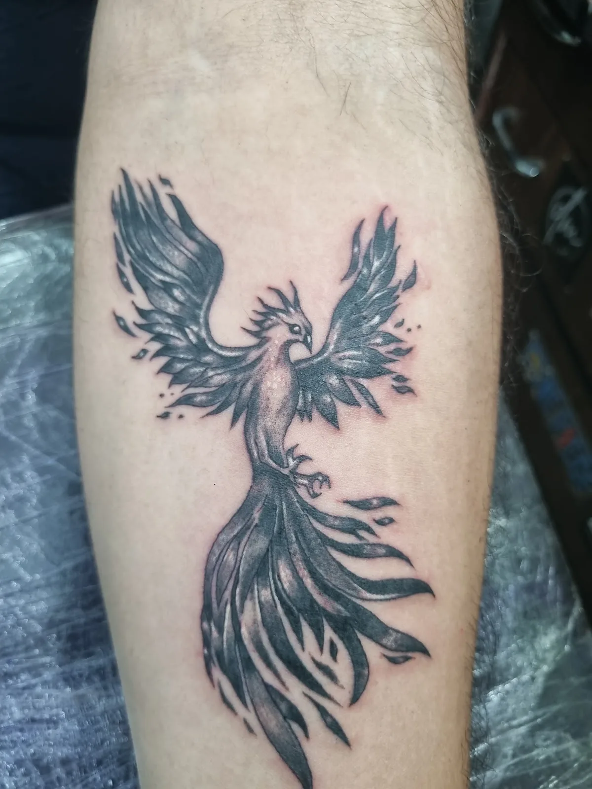 Master Tattoo Studio