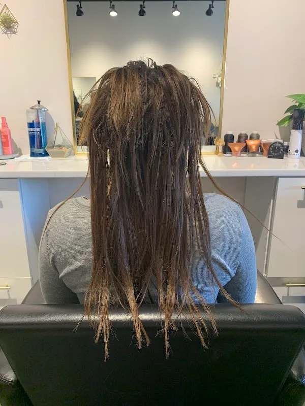 Salon Milan
