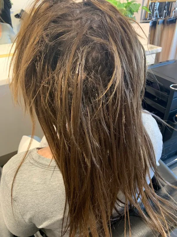 Salon Milan