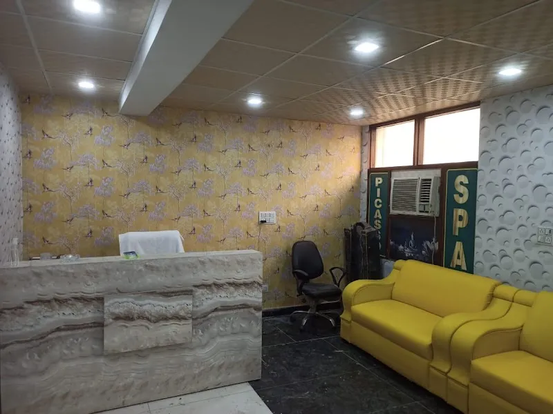 Picasso Wellness Center & Spa