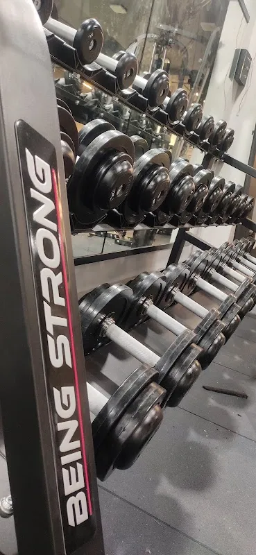 ICON FITNESS EXECUTIVE