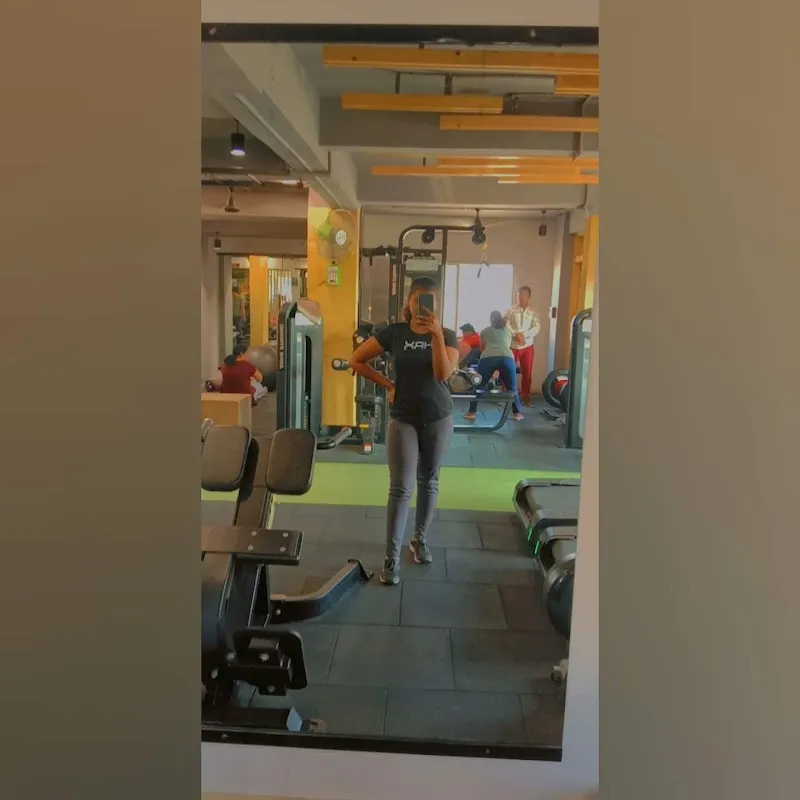ICON FITNESS EXECUTIVE