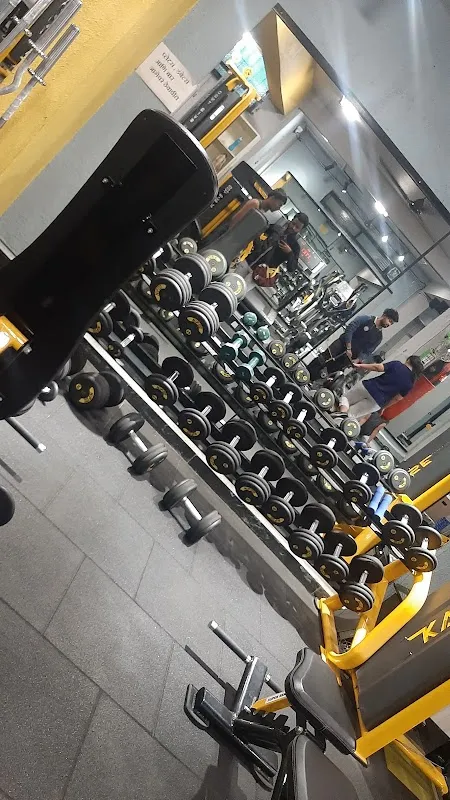 ICON FITNESS EXECUTIVE