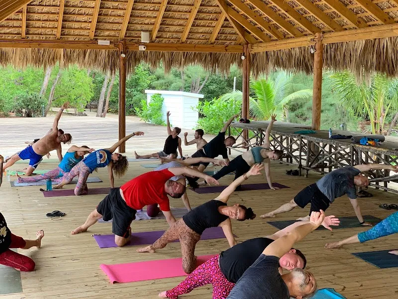 Good Vibes Yoga