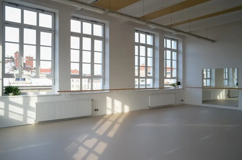 ANIMA FABRIK Contemporary Modern Dance Studio