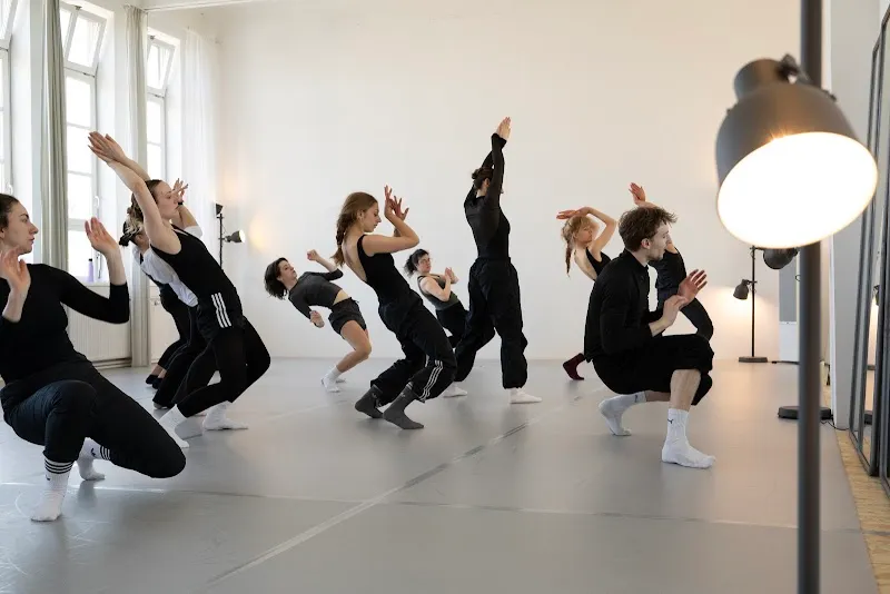 ANIMA FABRIK Contemporary Modern Dance Studio