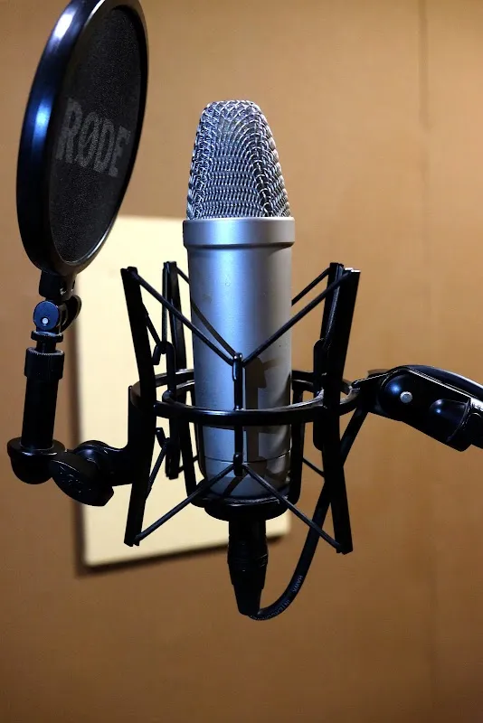 Voiceline - Recording Studio | Voice-over Services | Voice Training | Music Production