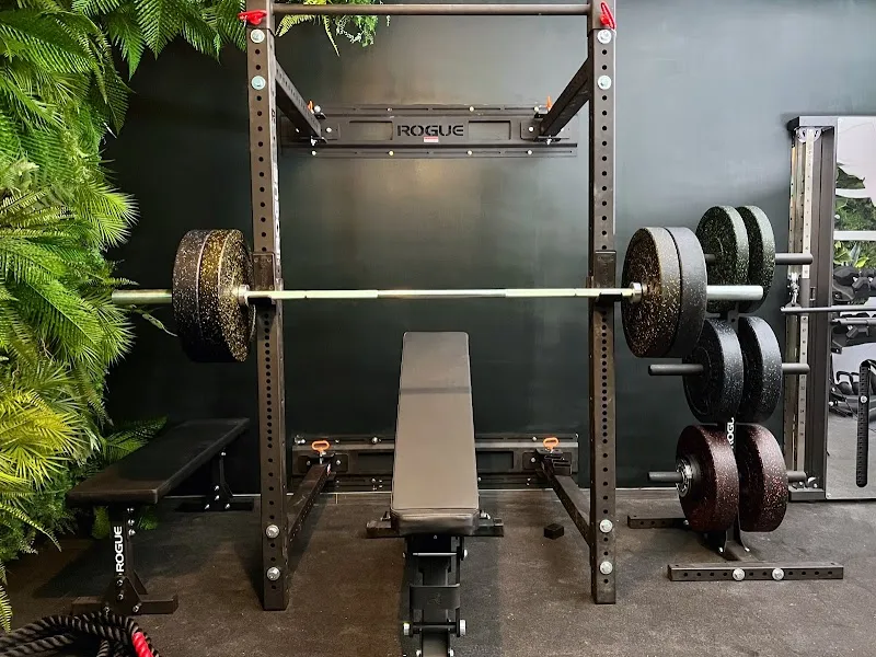 Evolve Fitness Berlin