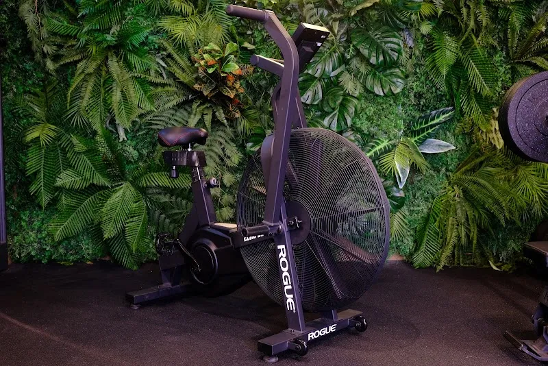Evolve Fitness Berlin
