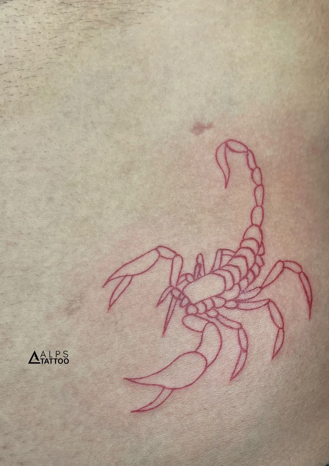 Alps Tattoo Studio