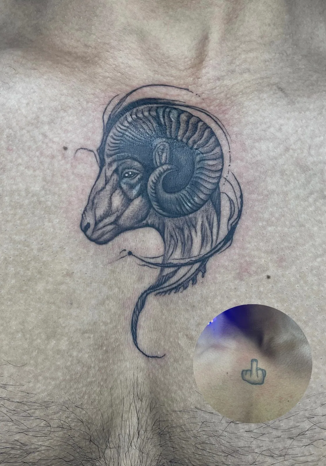 Alps Tattoo Studio