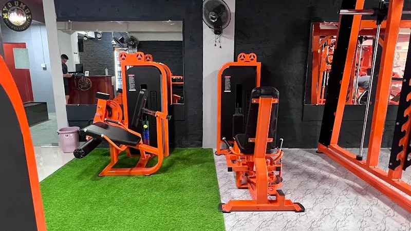 Zumu Gym 2.0
