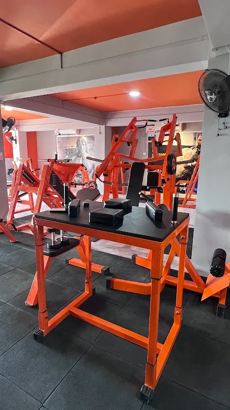 Zumu Gym 2.0