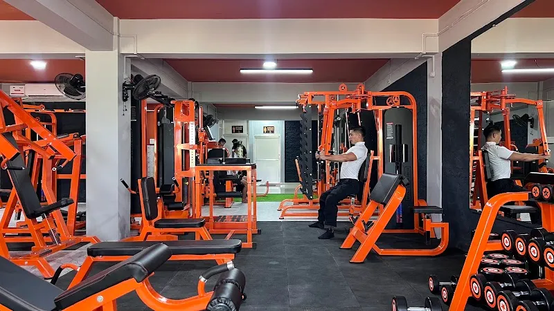 Zumu Gym 2.0