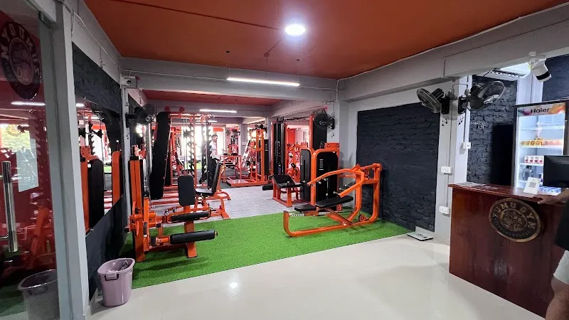Zumu Gym 2.0