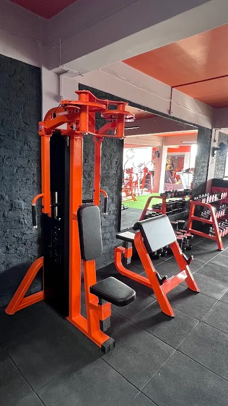 Zumu Gym 2.0