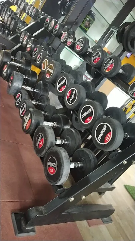 Body Fitness Gym