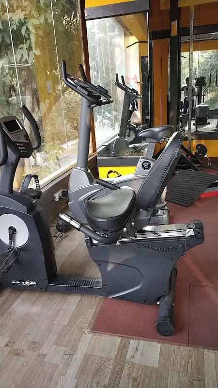 Body Fitness Gym