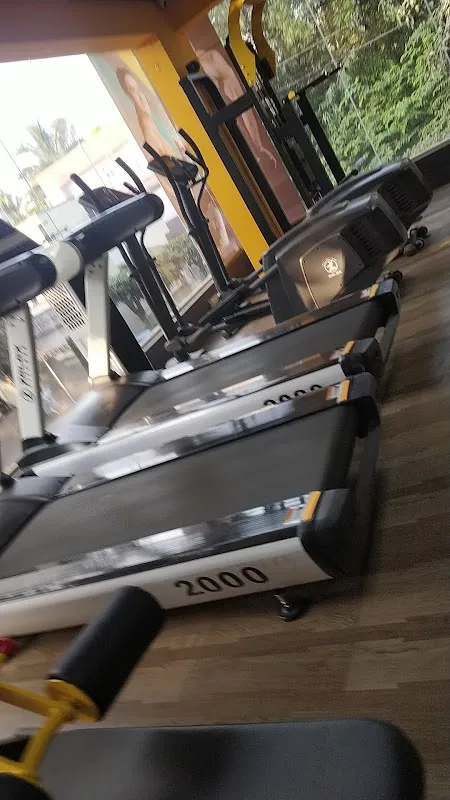Body Fitness Gym
