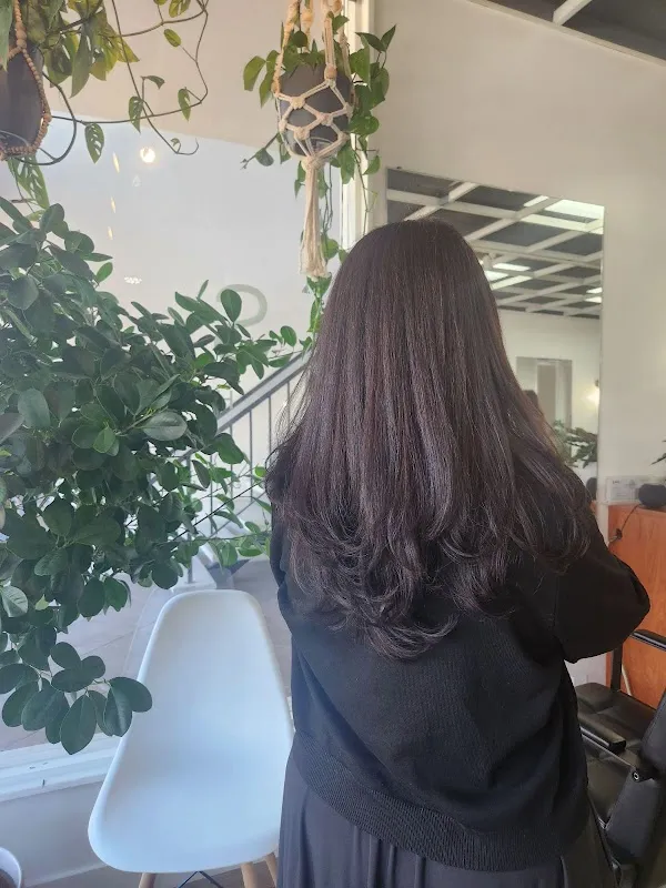 S & L Hair Studio