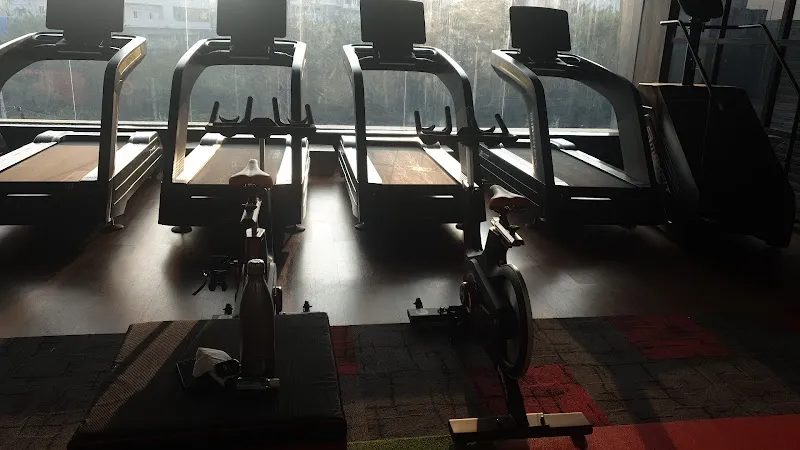 Alloys Fitness Club