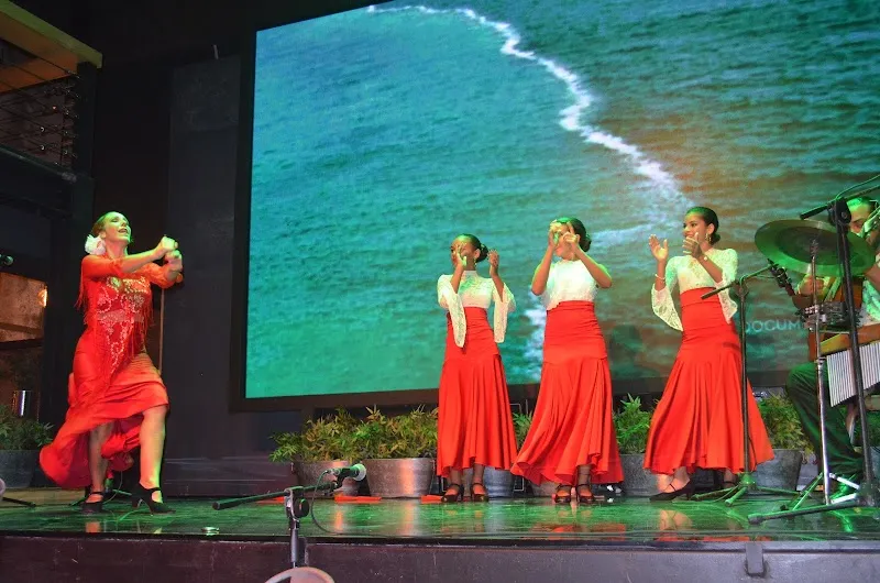 Carola Ole Art And Dance