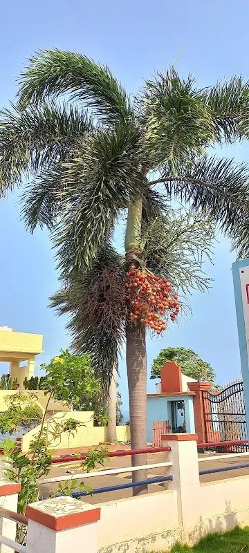 Rama Naidu Studios