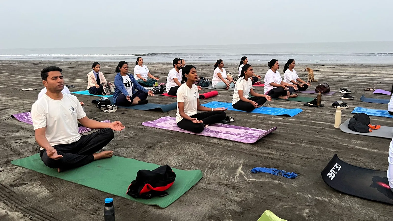 8 Limbs Yoga Studio Evershine
