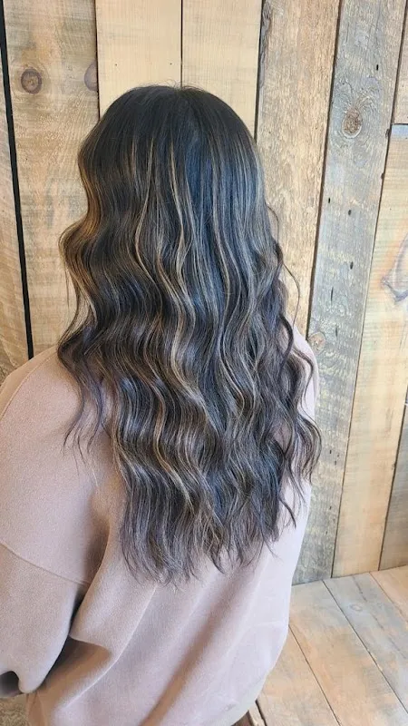 Salon M