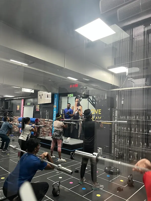 Cult Gym Rajajinagar | Best Gym in Dr.Rajkumar Rd, Bengaluru