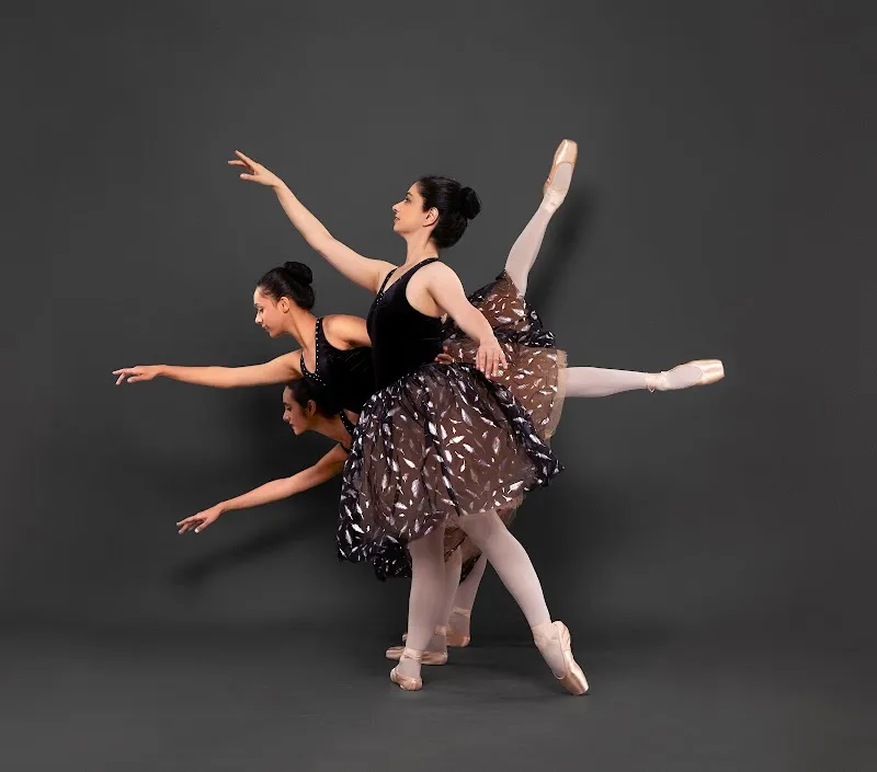 The School Of Classical Ballet And Western Dance