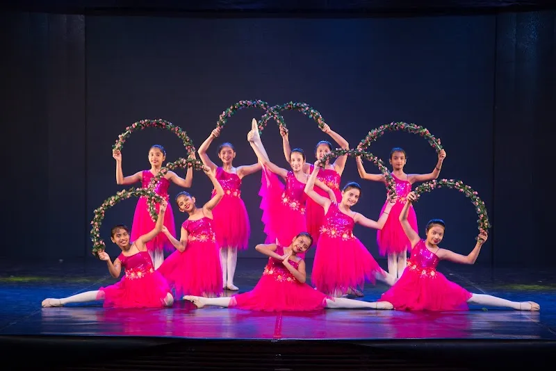 The School Of Classical Ballet And Western Dance
