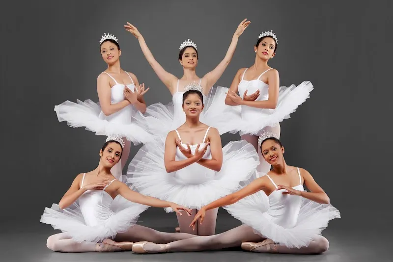 The School Of Classical Ballet And Western Dance