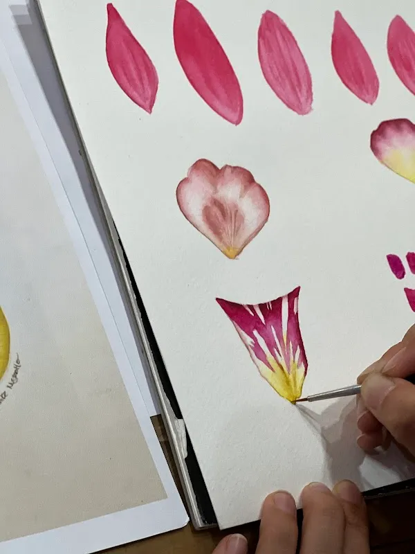 Taller Firenze - Academia de Artes